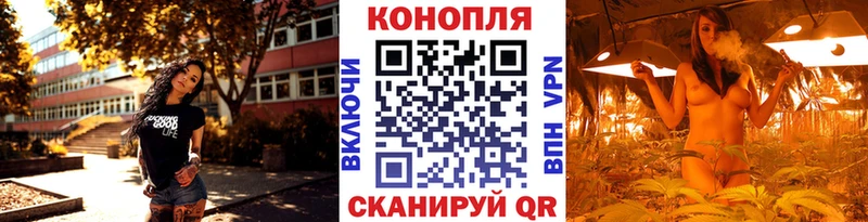 Шишки марихуана Amnesia Духовщина